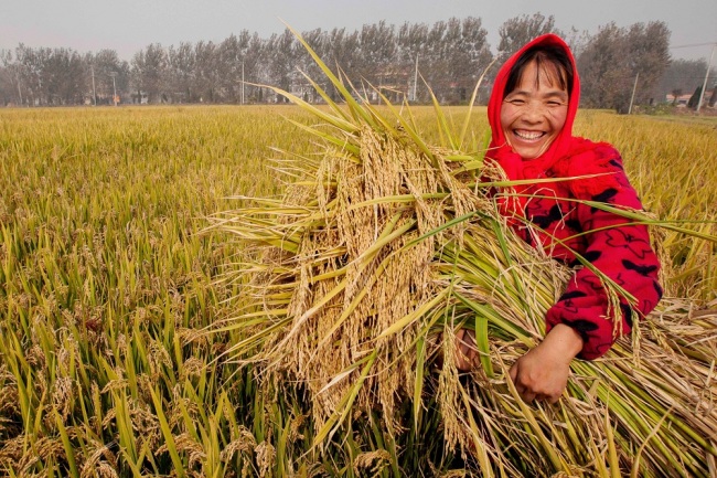 China releases white paper on food security