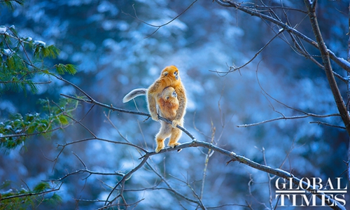 Chinese photographer bags prestigious Lumix Award in Japan