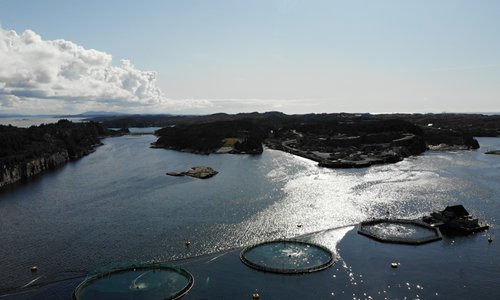 Norway’s salmon exports to China slide amid Beijing coronavirus outbreak