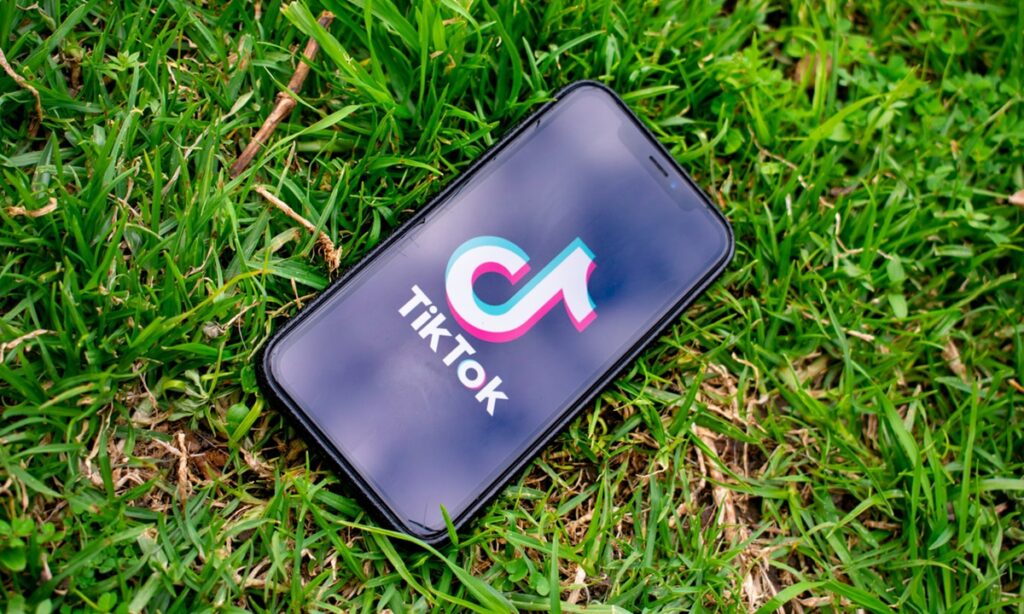 No merit in US politicians’ claim that TikTok is meddling in US elections: FM