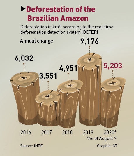 As Amazon burns, farmers defend lighting fires to clear land