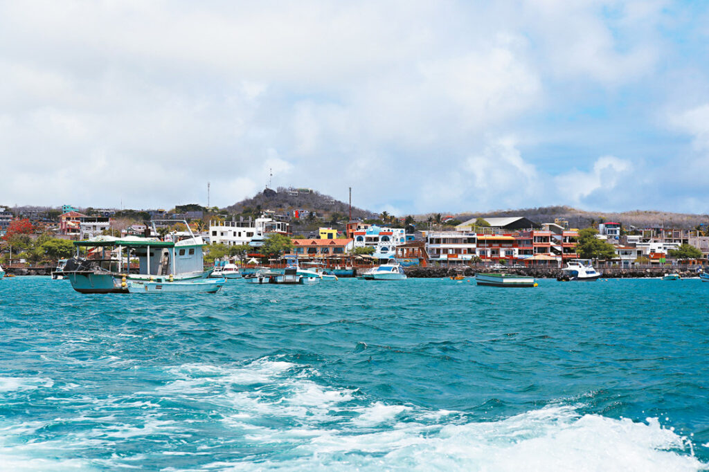 China, Ecuador maintain friendly communication to promote protection of fishery resources: FM