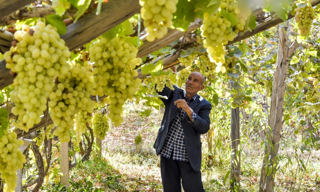 Experts laud Chinese government’s efforts to promote Xinjiang’s socioeconomic development