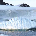 Bering Sea ice at its lowest levels in 5,500 years: research