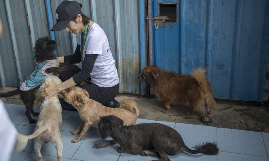 China issues first standard for diagnosis and treatment of animal injuries to bridge gap between regions