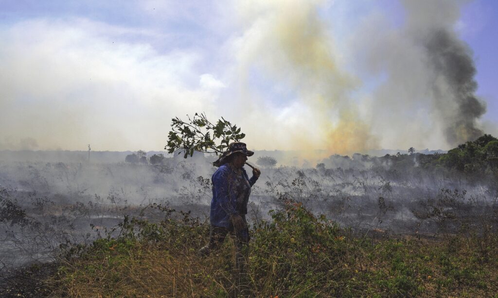 2020 another grim year for Brazilian Amazon