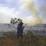 2020 another grim year for Brazilian Amazon