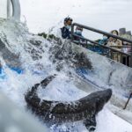 China releases endangered sturgeon into Yangtze River