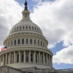 U.S. House passes final version of 1.9-trln-USD relief bill