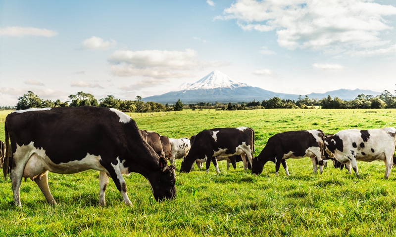 Kiwi dairy firm Fonterra divests farm assets in China