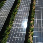 Israel aims to become world leader in use of solar energy