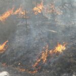 Grassland wildfire in China-Mongolia border put out: emergency dept