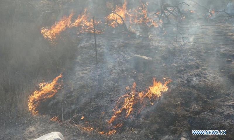 Grassland wildfire in China-Mongolia border put out: emergency dept