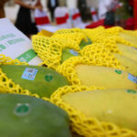 Fruit trade boom between China and BRI countries, supporting local economy