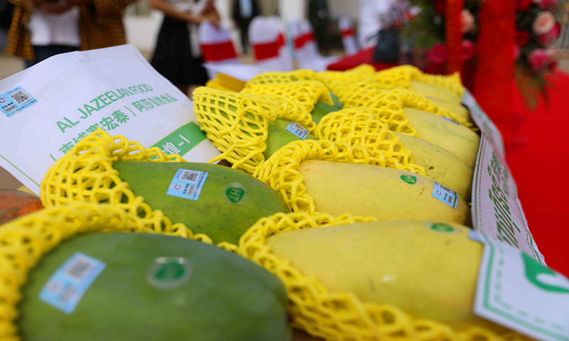 Fruit trade boom between China and BRI countries, supporting local economy