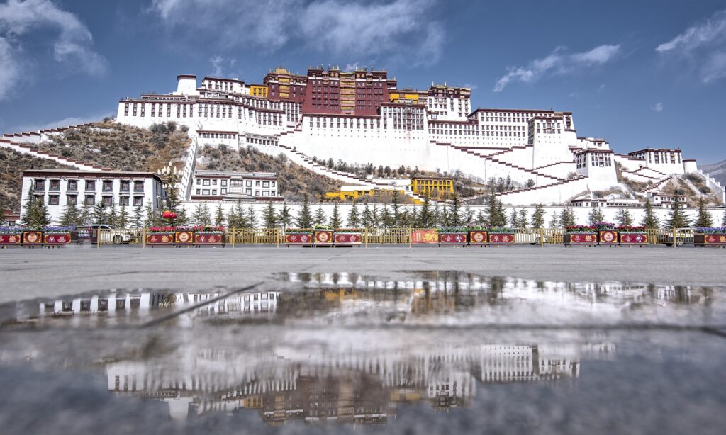 Tibet to further promote ecological economy