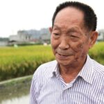 Yuan Longping, ‘Father of Hybrid Rice,’ dies at 91