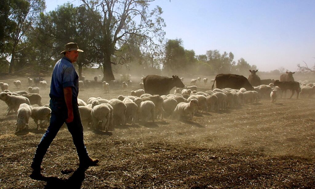 After fire and floods, Aussie farmers suffer devastating mouse plague