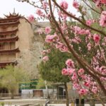 Camping and hiking activities damaging cultural relics banned in Dunhuang Mogao Grottoes