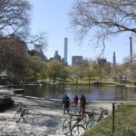 Two dozen goats eat their way through New York park