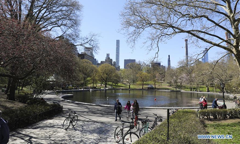 Two dozen goats eat their way through New York park