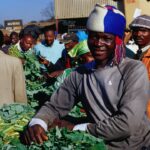 Chinese-run company offers Zambian small-scale food traders clean, secure trading spaces