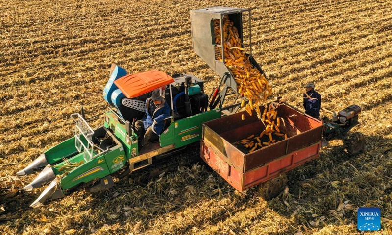 Xi stresses food security at key central rural work conference