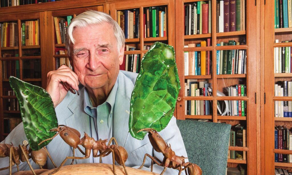 Scientist E.O. Wilson, dubbed modern-day Darwin, dead at 92