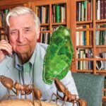 Scientist E.O. Wilson, dubbed modern-day Darwin, dead at 92