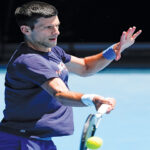 Djokovic admits wrongdoing