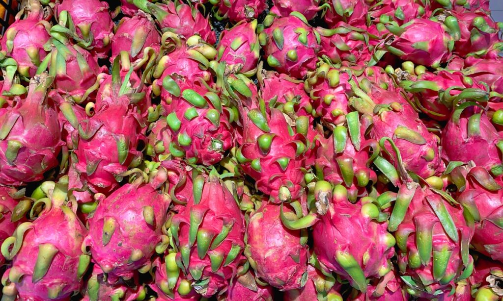 E.China’s Jinhua strengthens tests on imported fruit after finding virus-positive Vietnamese dragon fruit