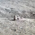 Chang’e-5 in-situ data proves presence of water on moon