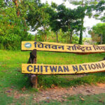 Thirty-four rhinos died in Chitwan National Park