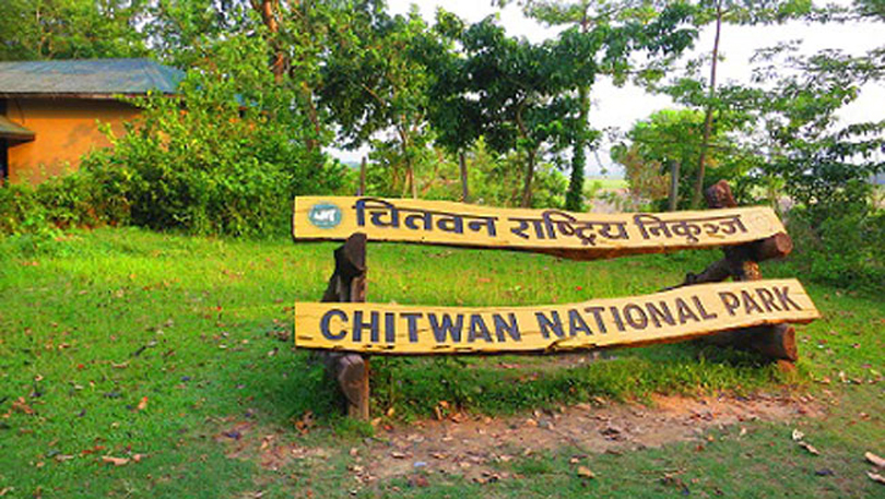 Thirty-four rhinos died in Chitwan National Park