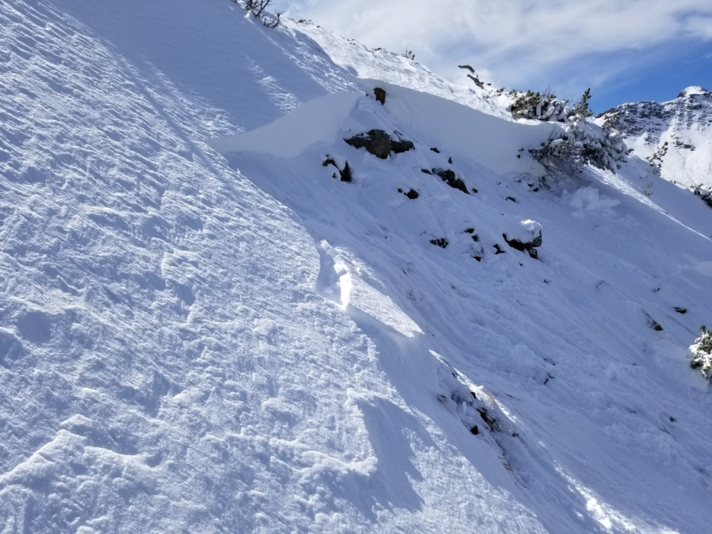 Eight killed in Austria avalanche