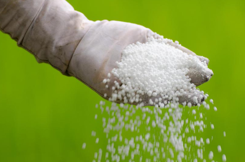 Decision to import chemical fertilizer from China is pending