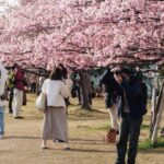 Japan ends emergency virus measures in 18 prefectures