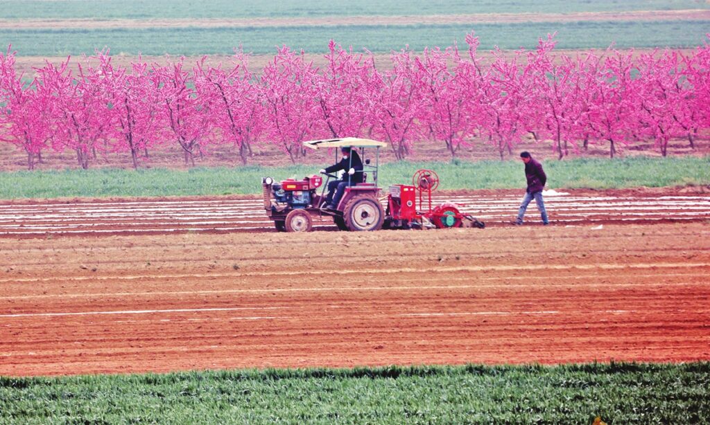 Chinese farmers are embracing e-commerce to reduce costs, improving efficiency