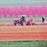 Chinese farmers are embracing e-commerce to reduce costs, improving efficiency