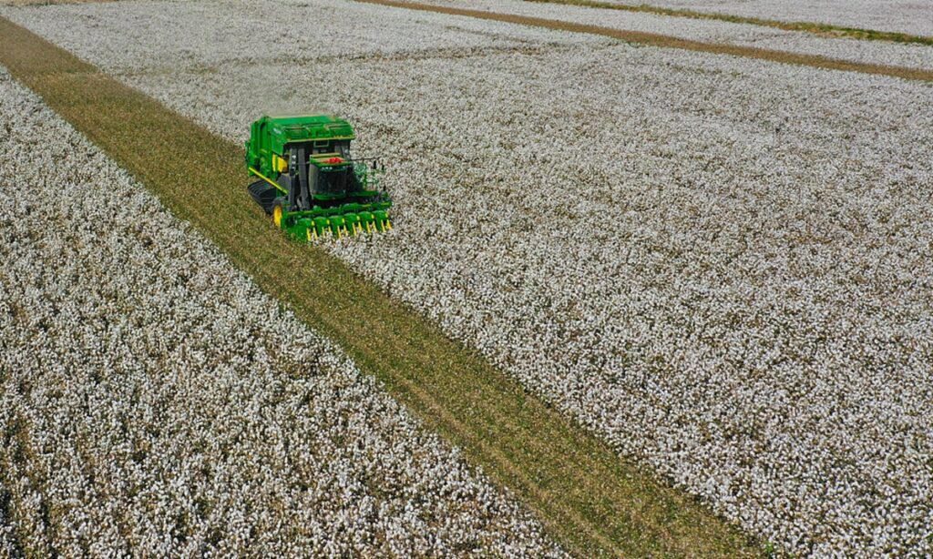 Chinese netizens watch livestreaming of machines planting cotton in Xinjiang, defying groundless ‘forced labor’ allegation