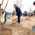 Xi Focus: Plant more trees to make the country’s land greener