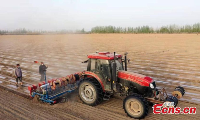 China’s spring sowing activities steadily move forward despite epidemic impact: ministry