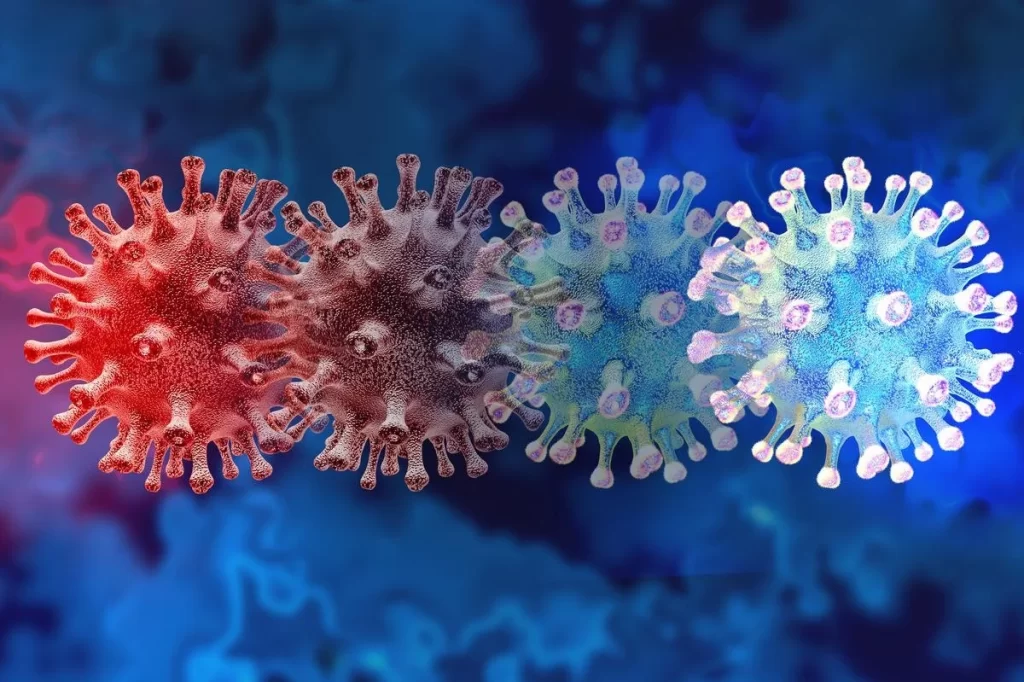 WHO reports the finding of a new ‘recombinant’ coronavirus variant