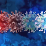 WHO reports the finding of a new ‘recombinant’ coronavirus variant