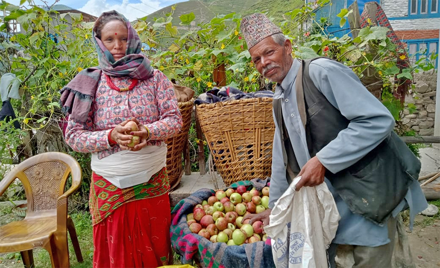 Agriculture is counted in 77 different regions in Jumla