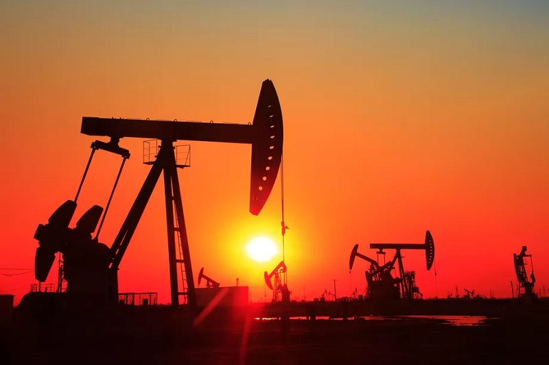 Oil prices rose in the international market