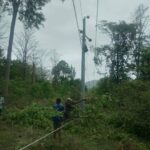 Electricity service cut off in Karnali due to falling trees due to strong winds