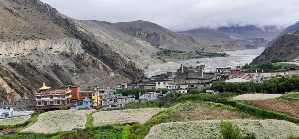 The local’s of Mustang received about 94 crore grants