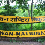 Jungle Safari in Chitwan National Park to be shut down temporarily