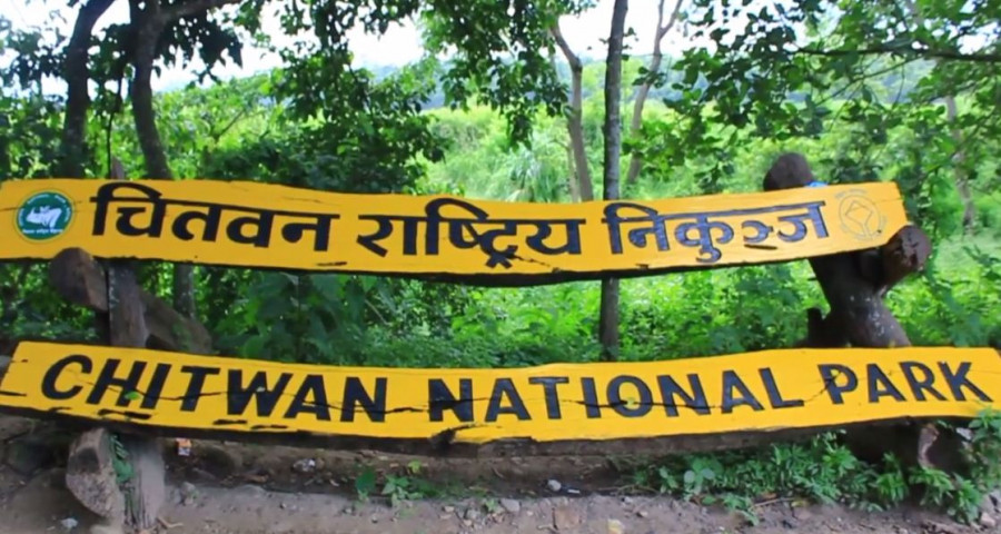 Jungle Safari in Chitwan National Park to be shut down temporarily